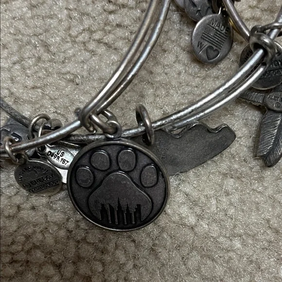 14 Alex and Ani assortment Stack of Mixed Metal Charm Bangle Bracelets - Picture 2 of 15